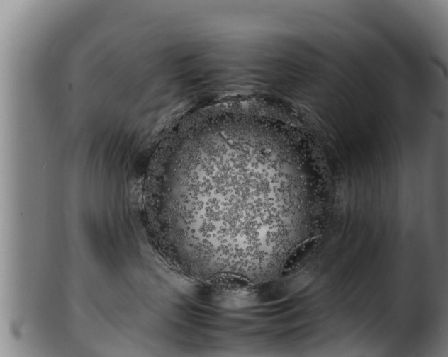 X0000100230383200806061415