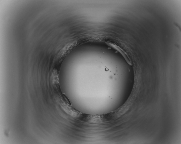 X0000100230384200806061415