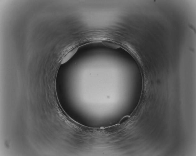 X0000100230385200806061414