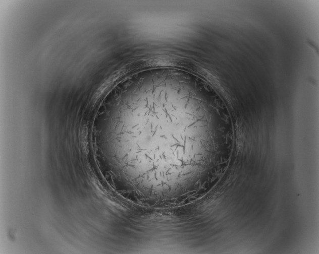 X0000100230386200806061414