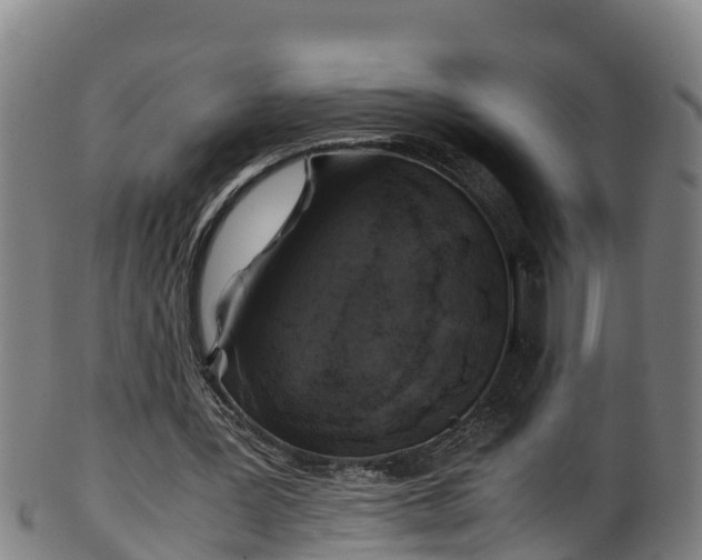 X0000100230387200806061414