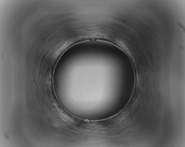 X0000100230389200806061414