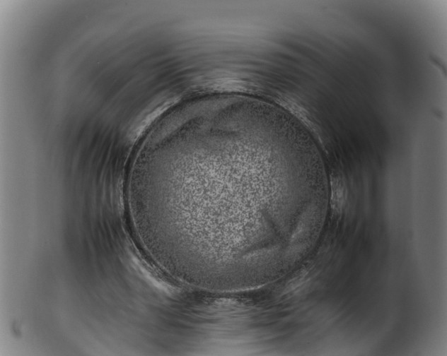 X0000100230390200806061414