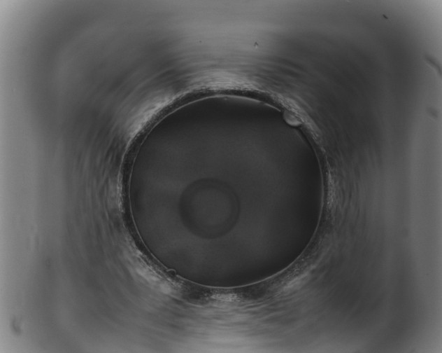 X0000100230391200806061414