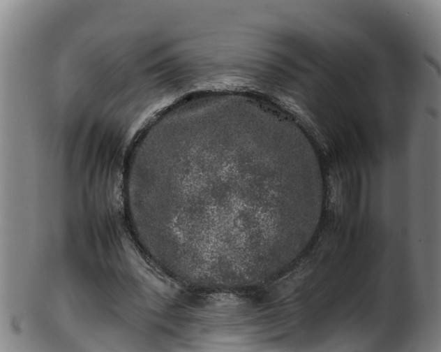 X0000100230392200806061414