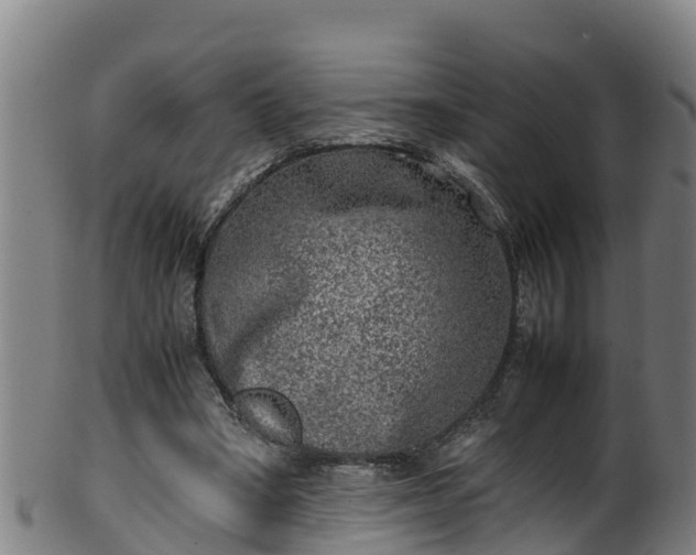 X0000100230394200806061414