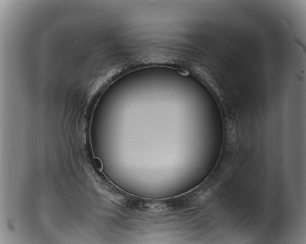 X0000100230395200806061414