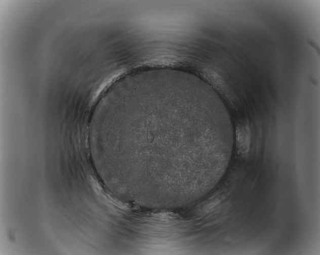 X0000100230396200806061414