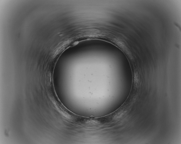 X0000100230397200806061414