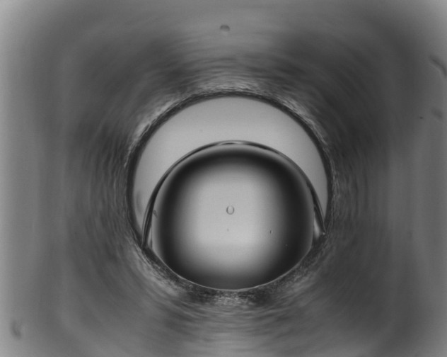 X0000100230399200806061414