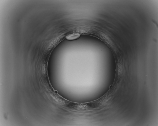 X0000100230401200806061414