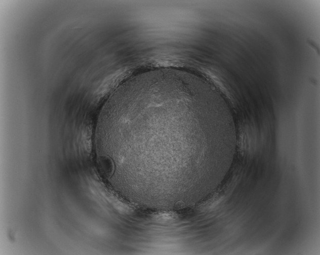 X0000100230402200806061414