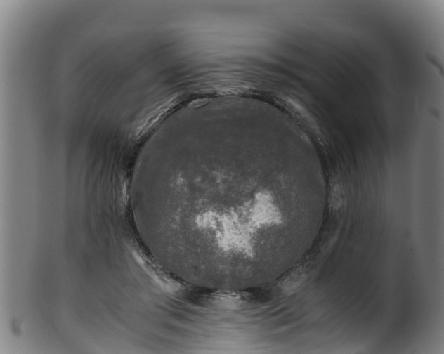 X0000100230405200806061414