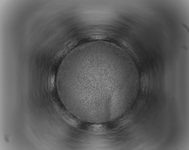 X0000100230406200806061414