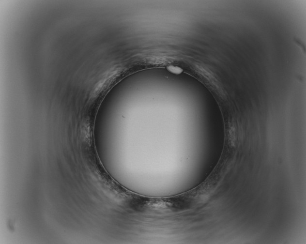 X0000100230407200806061414