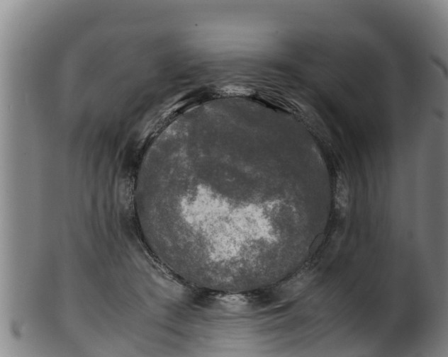 X0000100230409200806061414