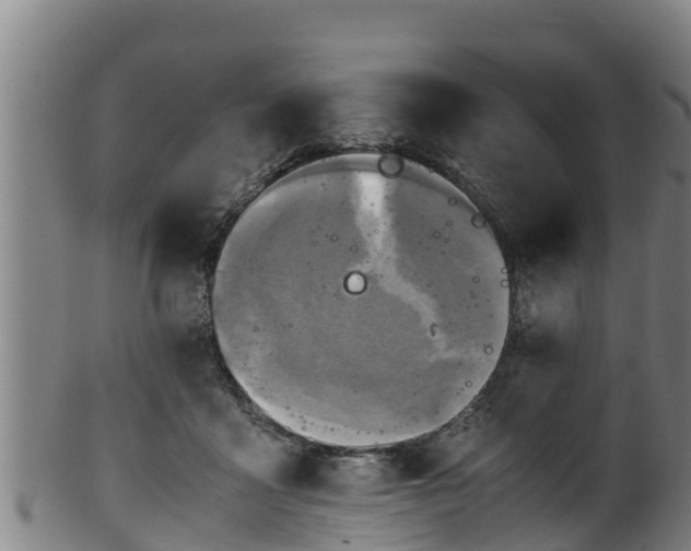 X0000100230411200806061414