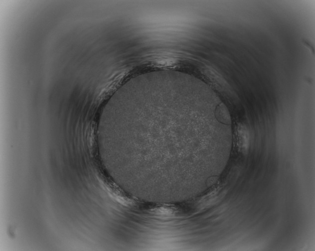 X0000100230412200806061414