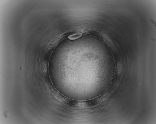 X0000100230413200806061414