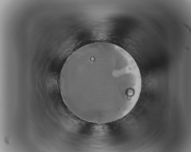 X0000100230415200806061414