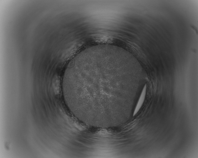 X0000100230416200806061414