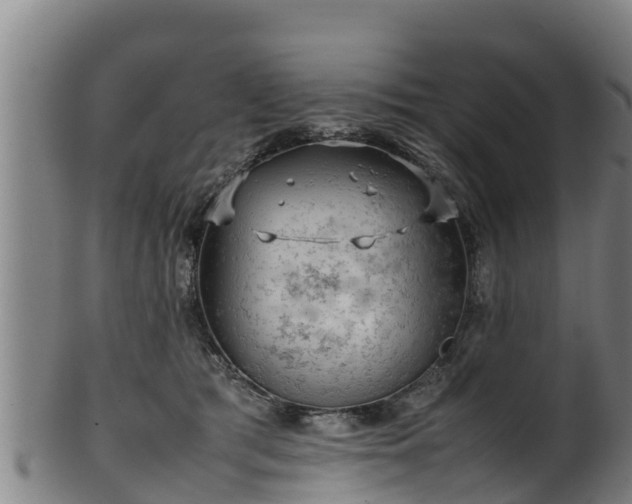 X0000100230417200806061414