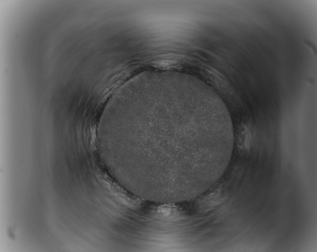 X0000100230420200806061414