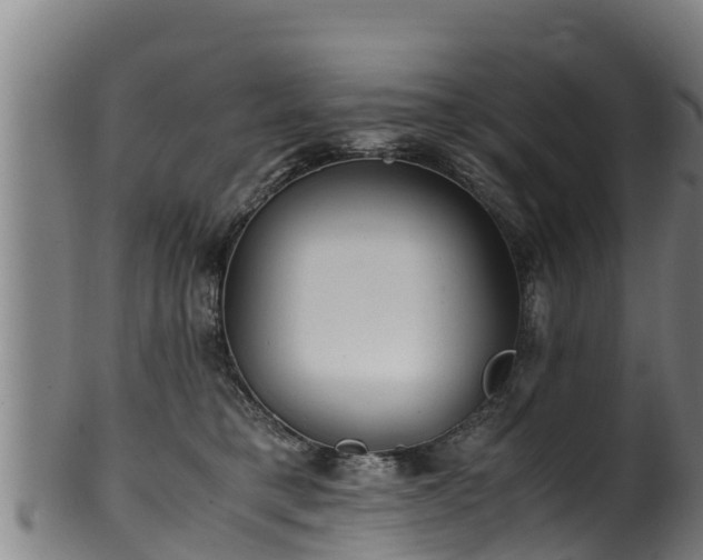 X0000100230421200806061414