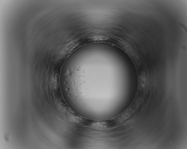 X0000100230422200806061414