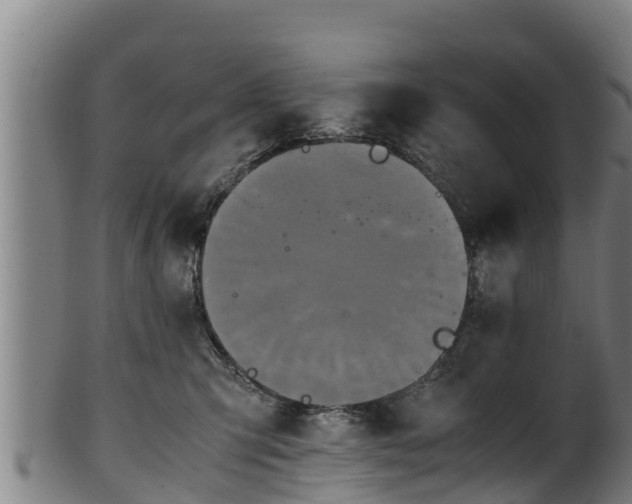 X0000100230423200806061414