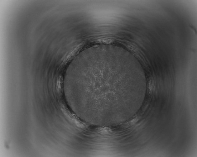 X0000100230424200806061414