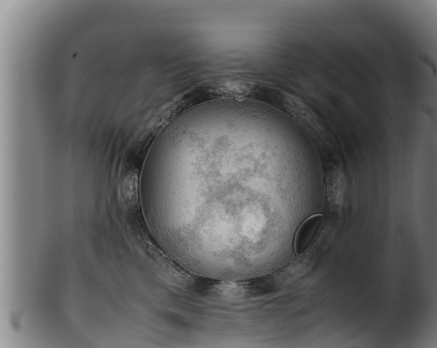 X0000100230425200806061414