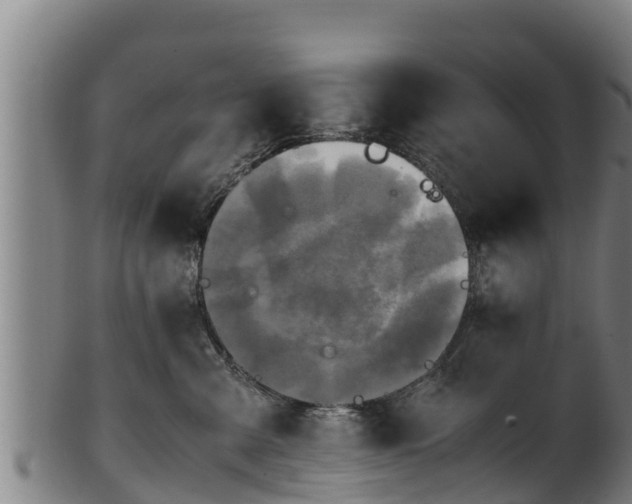 X0000100230427200806061414