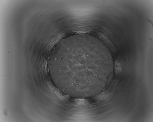 X0000100230428200806061414