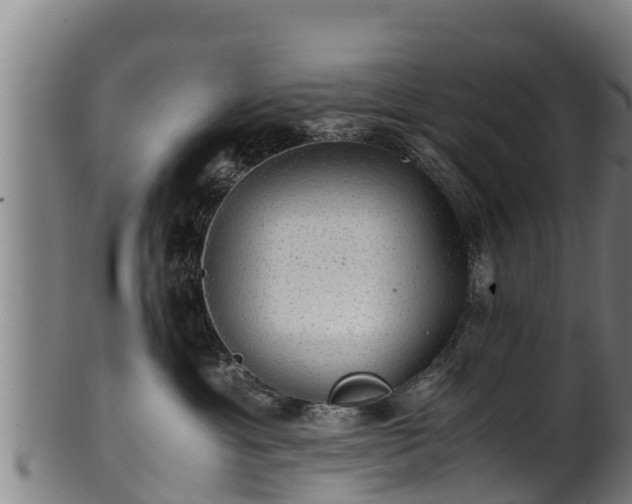 X0000100230429200806061414