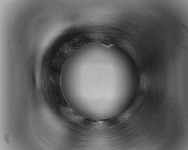 X0000100230430200806061414