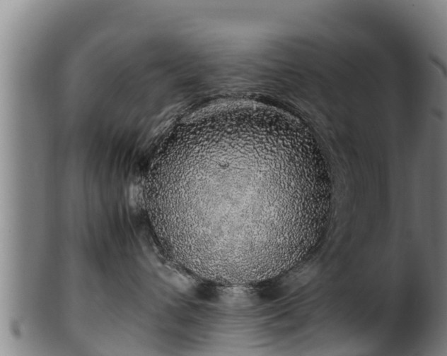 X0000100230432200806061414