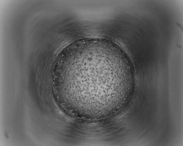 X0000100230433200806061413