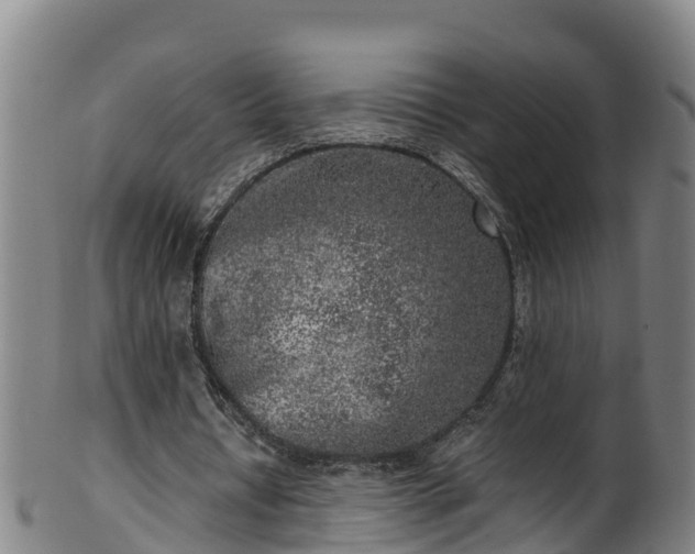 X0000100230434200806061413