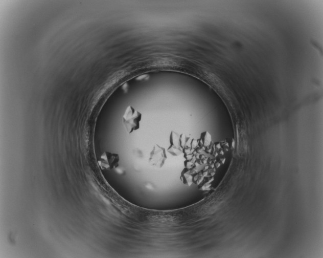 X0000100230435200806061413