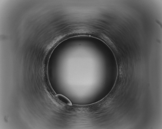 X0000100230436200806061413