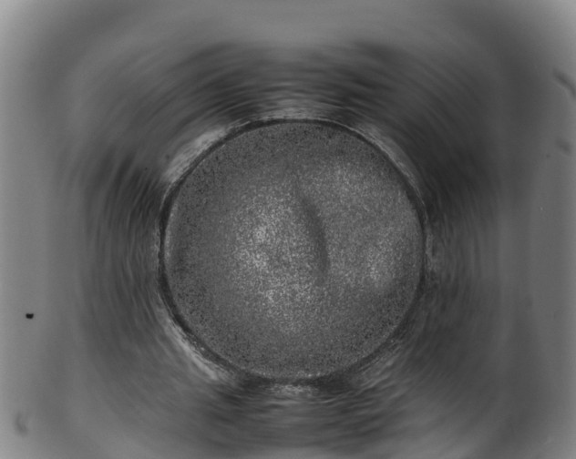 X0000100230437200806061413