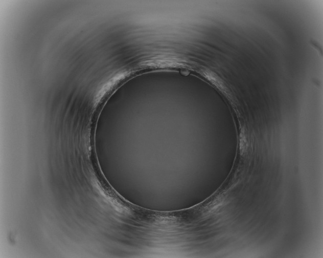 X0000100230438200806061413