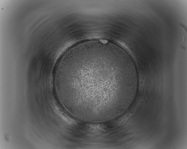 X0000100230439200806061413