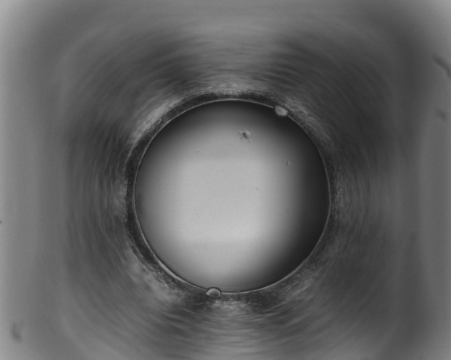 X0000100230440200806061413