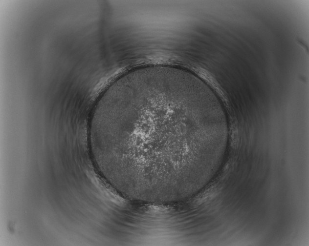 X0000100230442200806061413