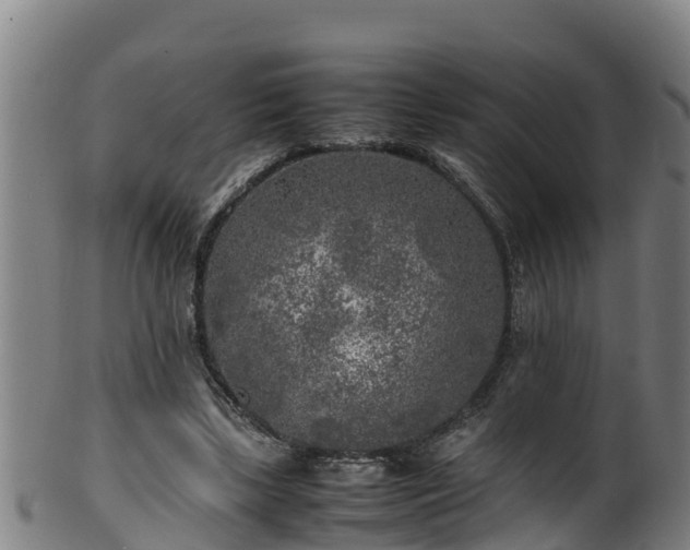 X0000100230443200806061413