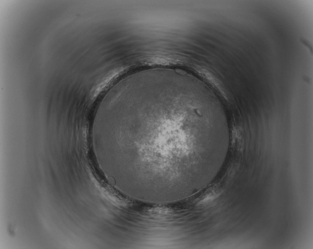 X0000100230444200806061413