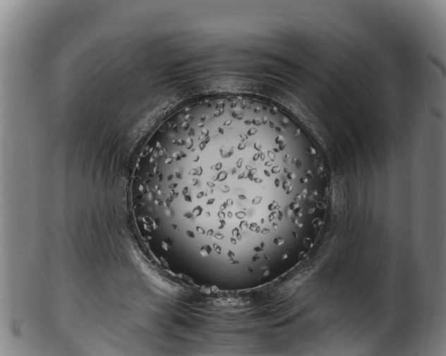 X0000100230445200806061413