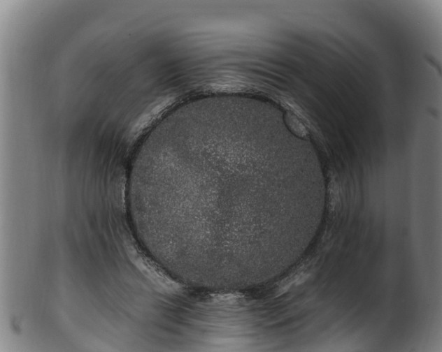 X0000100230446200806061413